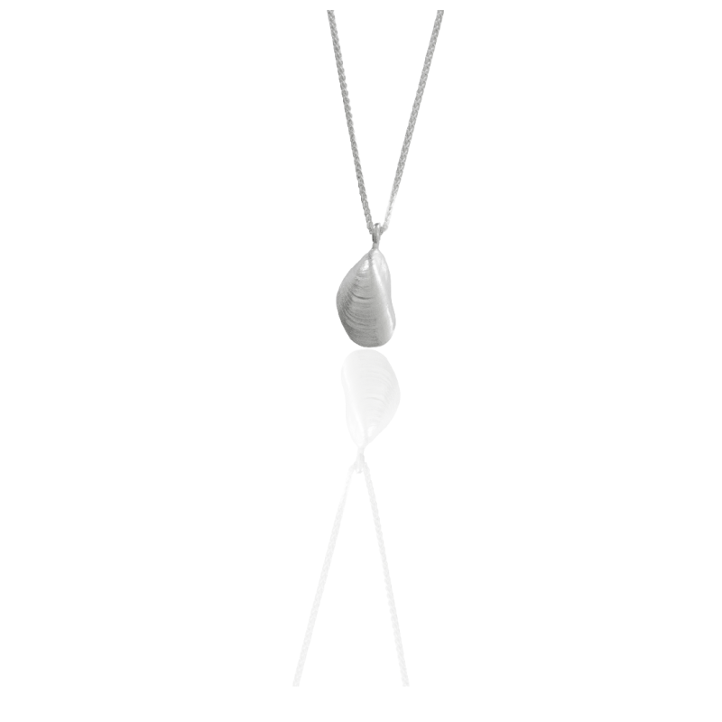 Miesmuschel - die „kleine“